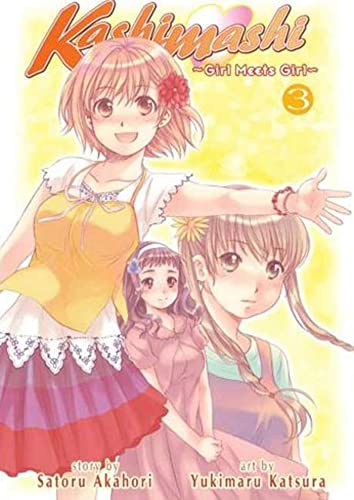 Cover for Kashimashi - Girl Meets Girl volume 3.0