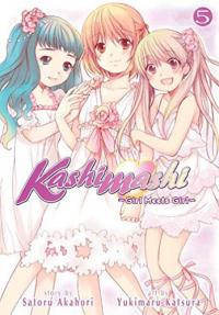 Cover for Kashimashi - Girl Meets Girl volume 5.0