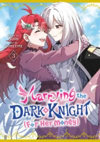 Cover for Marrying the Dark Knight (For Her Money) volume 3.0