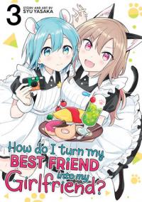 Cover for How Do I Turn My Best Friend Into My Girlfriend? volume 3.0